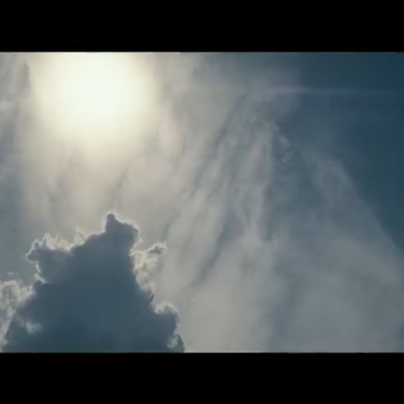 Not 4 Sale - Picture 12 of 16